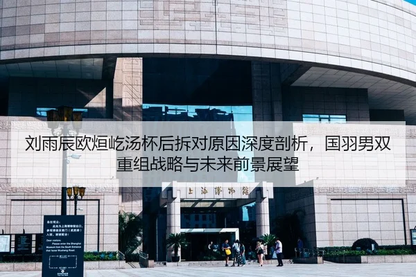 刘雨辰欧烜屹汤杯后拆对原因深度剖析，国羽男双重组战略与未来前景展望